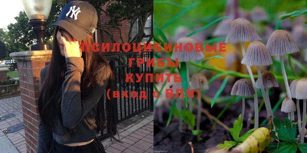 соль курить ск Армянск